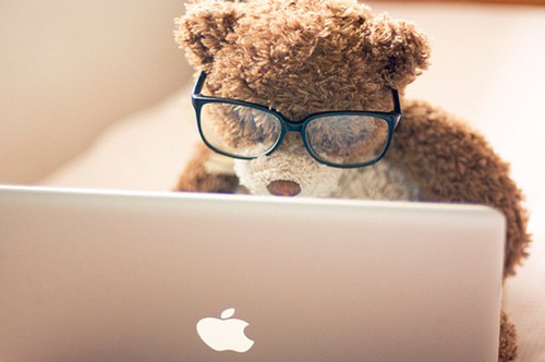 bear at computer